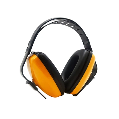 Eksekutif ikat kepala ekonomi